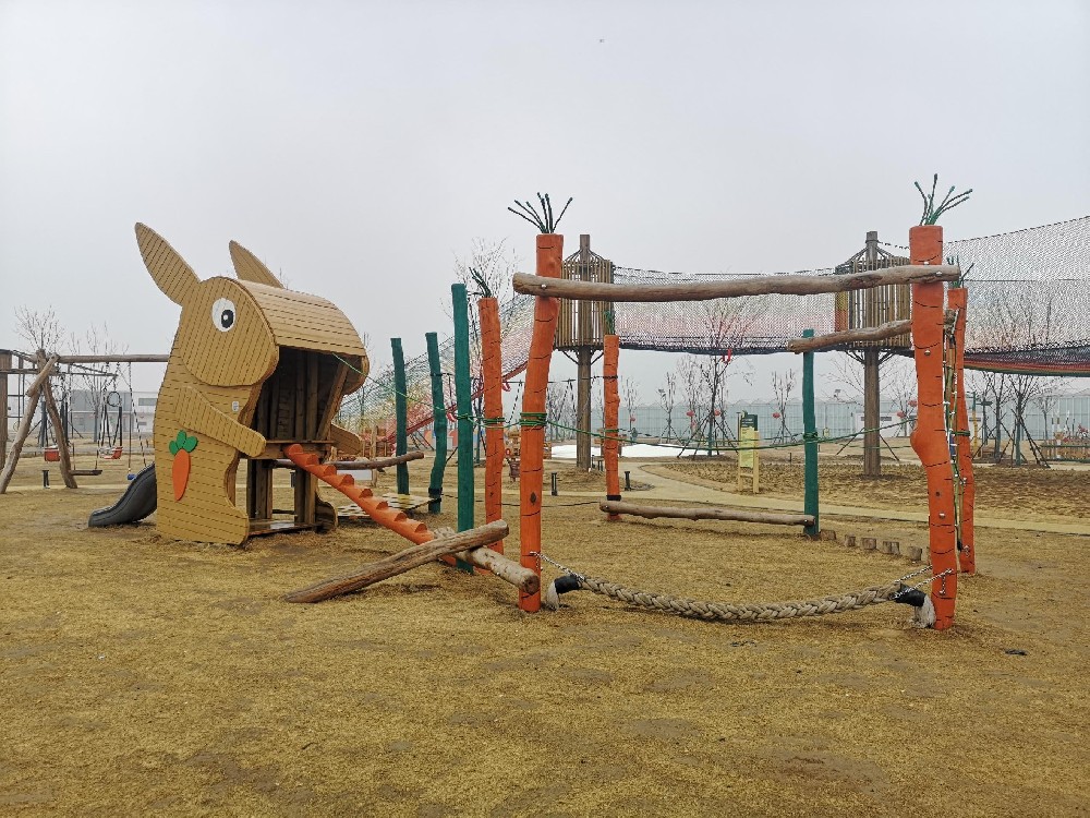 1737193336132569.jpg 1737193336132569.jpg