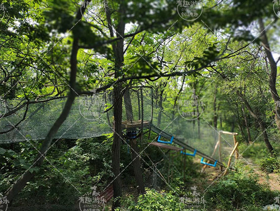 樹(shù)上探險(xiǎn)