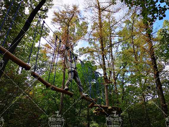 樹(shù)上探險(xiǎn)